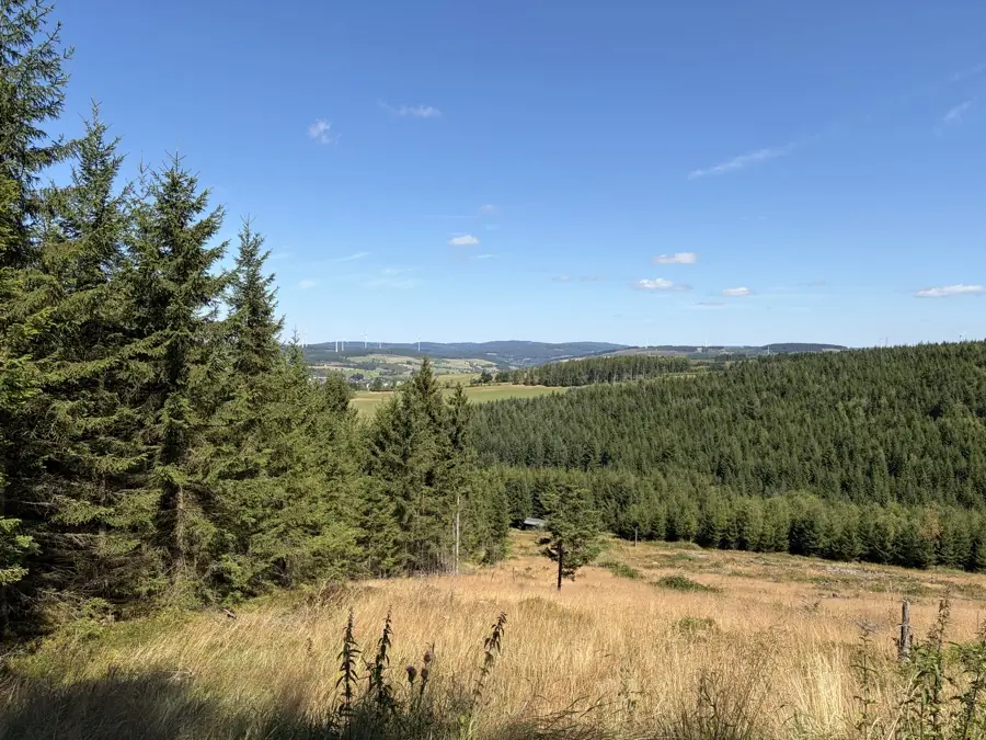 Blick über das Revier Benfe in den Benfegrund