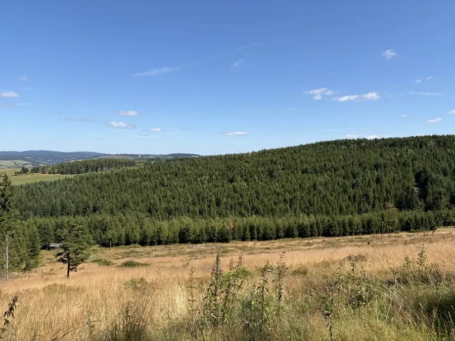 Blick über die bewaldeten Höhenrücken der Reviere